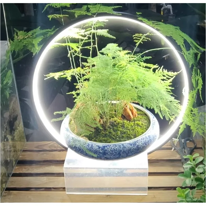 デスクトップLED水槽ランプ ミニ水槽用植物育成ライト アク - Planted Aquarium Hours のレビューと価格