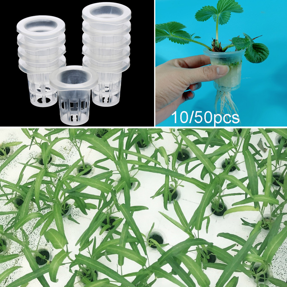 10/50 個ガーデン用品水族館植栽無土壌水耕植木鉢種子トレ - Aquarium Planted Seeds のレビューと価格