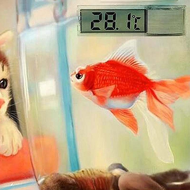 防水水族館温度計 3D デジタル液晶電子水槽温度魚カメ温度計 - Aquarium Planted Seeds のレビューと価格