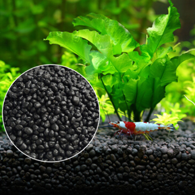 水族館植物の種子,水槽の素材,砂,土壌肥料,魚の手入れ,淡水 - Aquarium Planted Seeds のレビューと価格