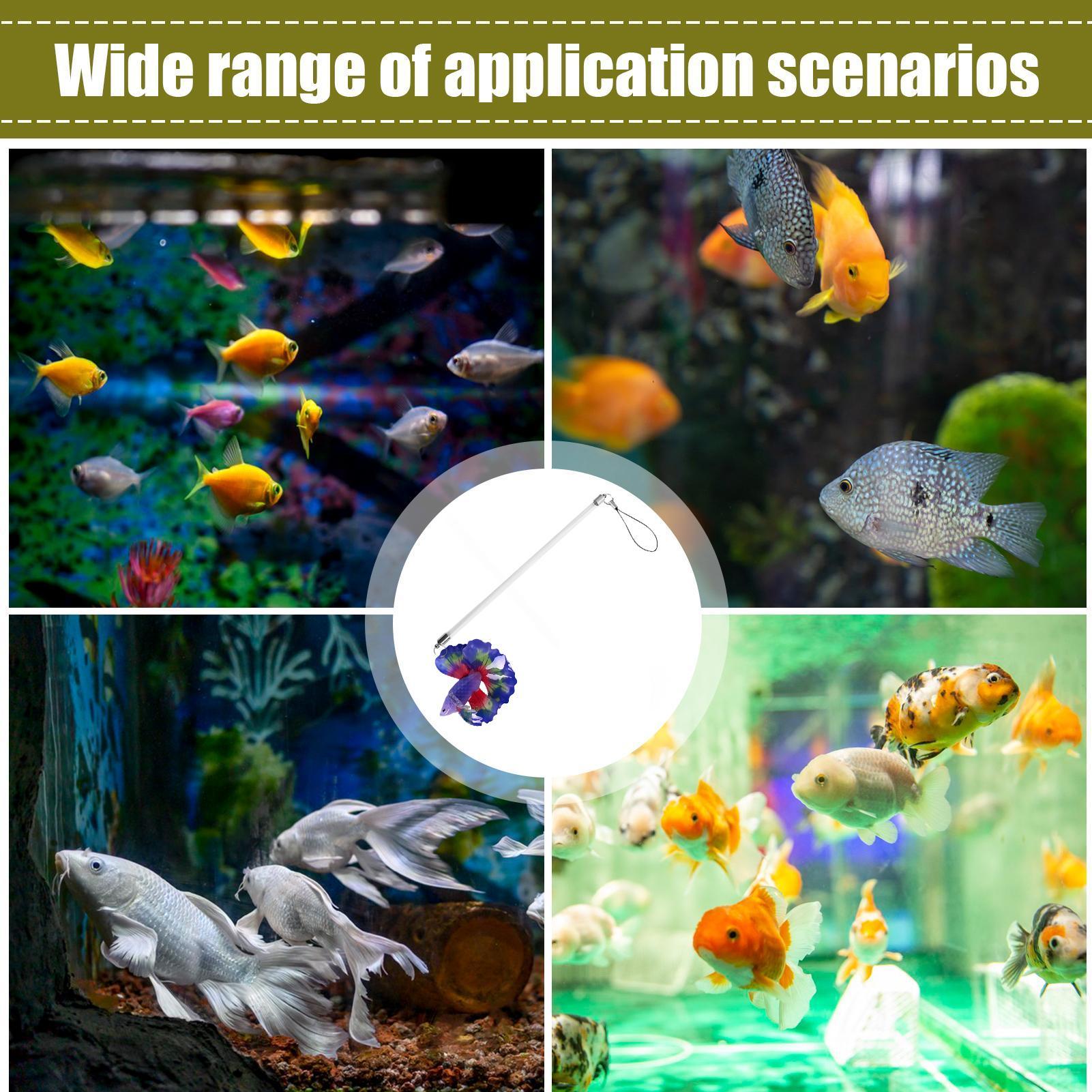 魚トレーニングワンドリアルな水生エクササイズゲームリアルなア - Planted Aquarium For Beginners のレビューと価格
