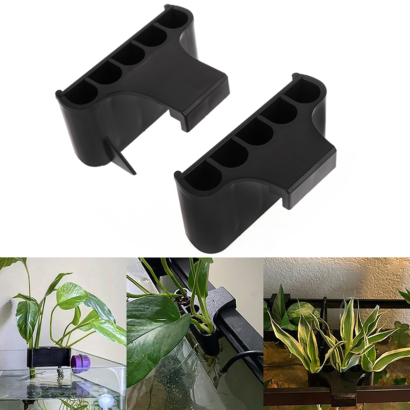 ハンギングプラントホルダー、穴あきポット、プランター付き、緊 - Emersed Plants Aquarium のレビューと価格