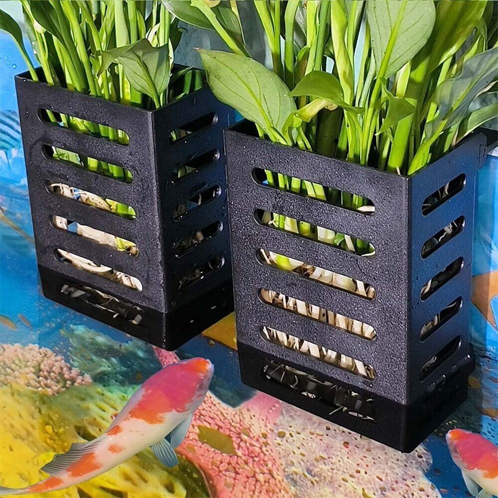 水耕植物ホルダー,景観ガラスポット,緊急植物収納ラック,植物 - Emersed Plants Aquarium のレビューと価格