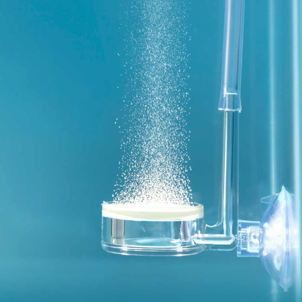 水族館の植物用ディフューザー1個、クリアCO2アトマイザー水 - Planted Aquarium Supplies のレビューと価格