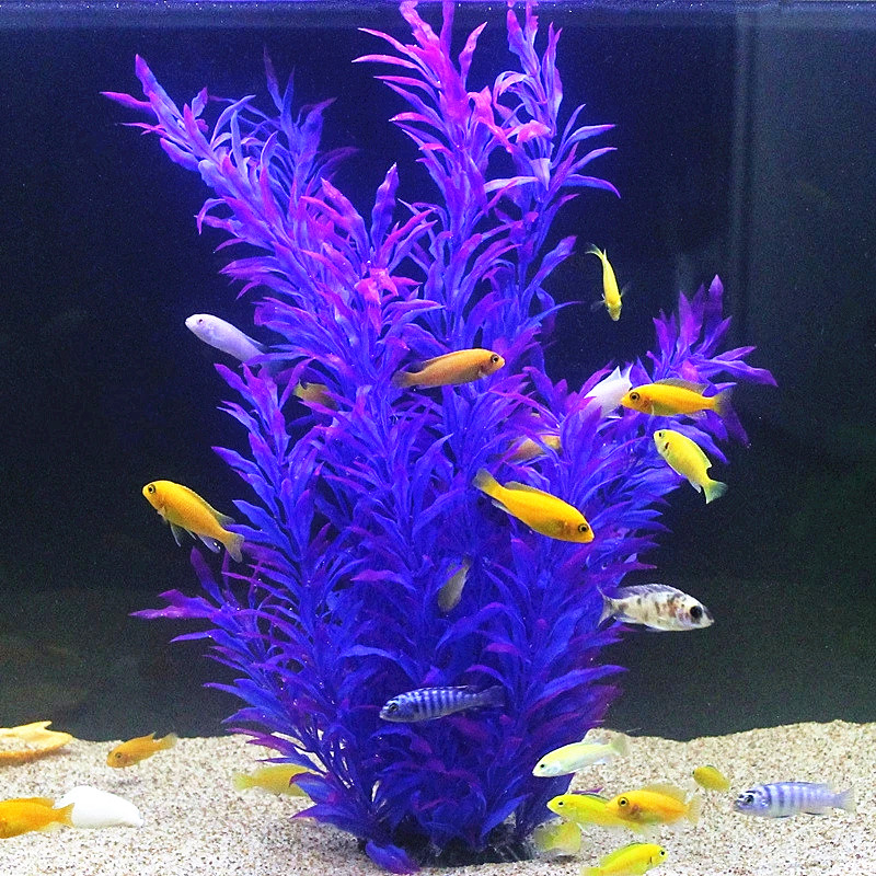 人工水槽50cm,珍しい植物,水族館,偽の竹の葉,水草,プラ - Planted Aquarium With Fish のレビューと価格
