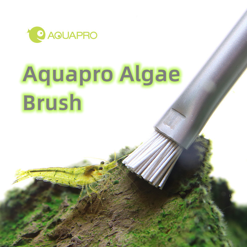 Aquaapro-水族館のブラシ,造園の石で作られたステンレ - Planted Aquarium Ada のレビューと価格