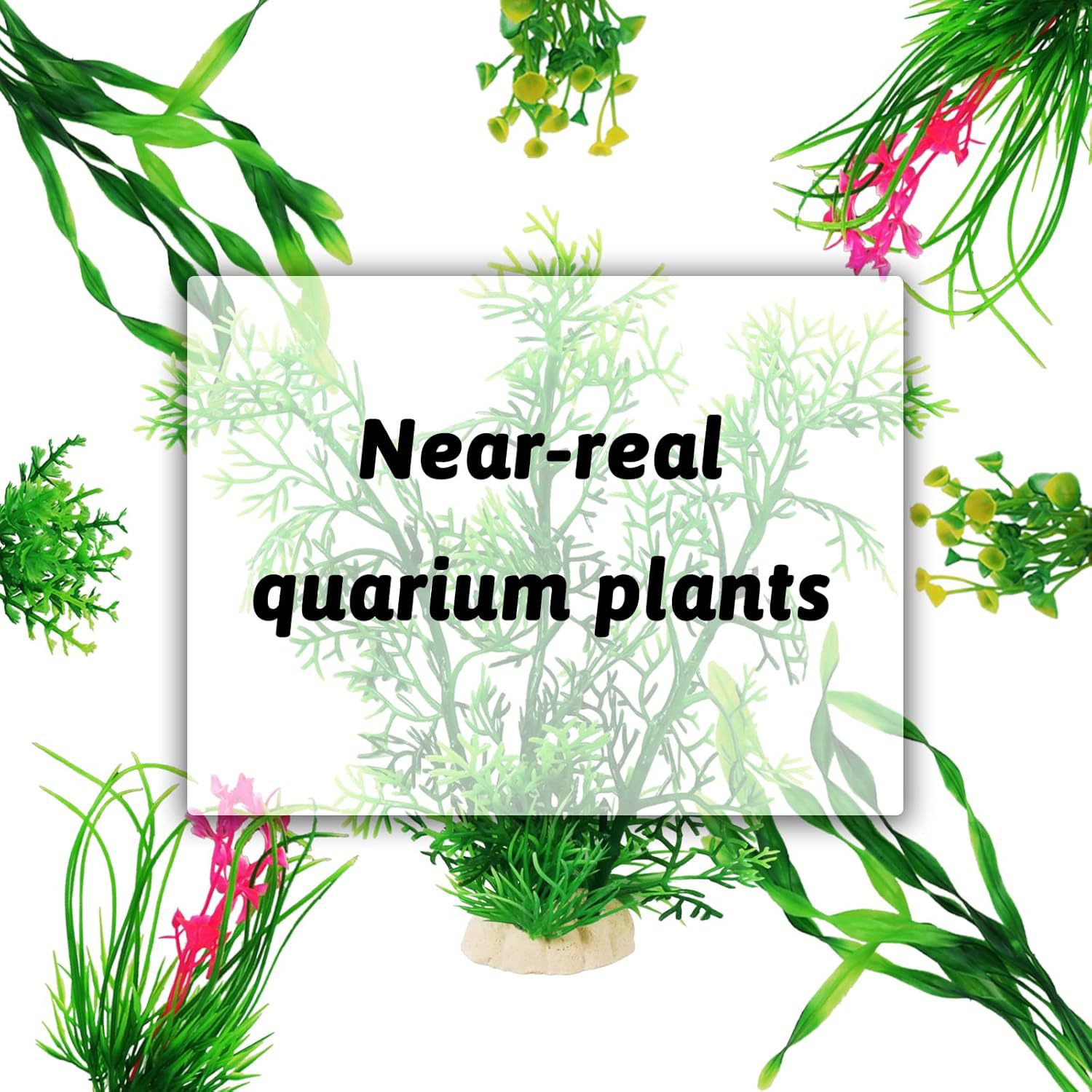 人工水槽植物セット 魚タンク装飾 プラスチック製水生植物 ア - Planted Aquarium For Beginners のレビューと価格