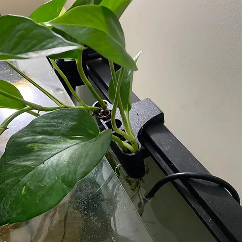 穴のあるハンギングプランターポット,魚の植物のサポート,水族 - Emersed Plants Aquarium のレビューと価格