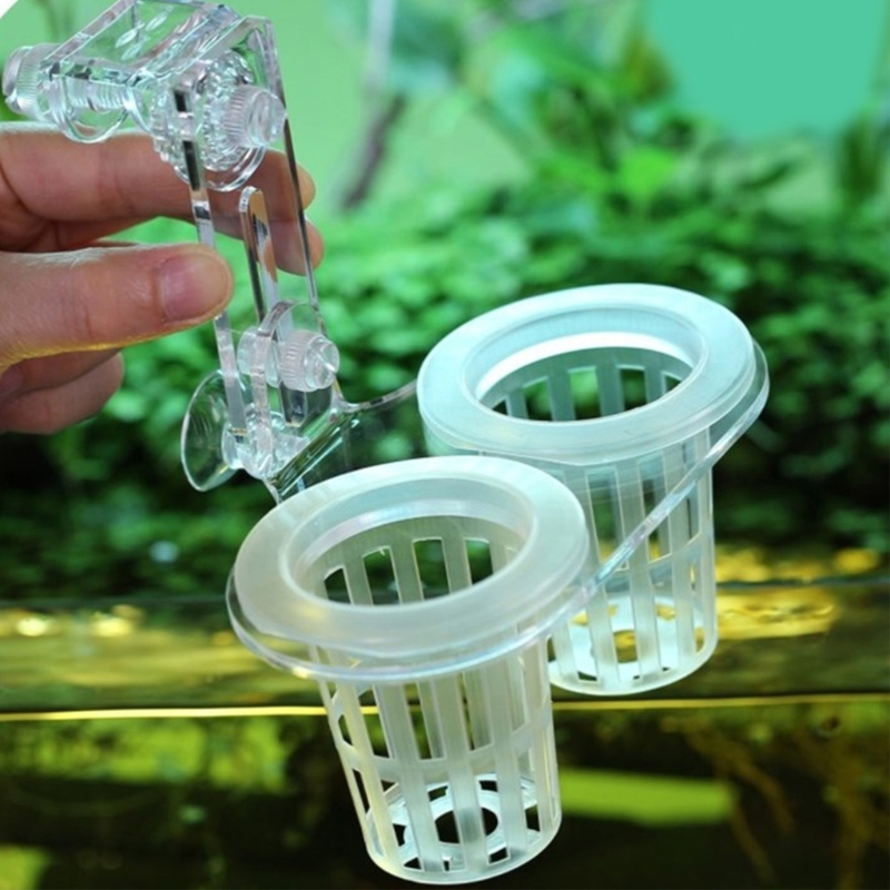 水族館用植物スタンド 水生植物栽培用クリップ付き 水生植物用 - Emersed Plants Aquarium のレビューと価格