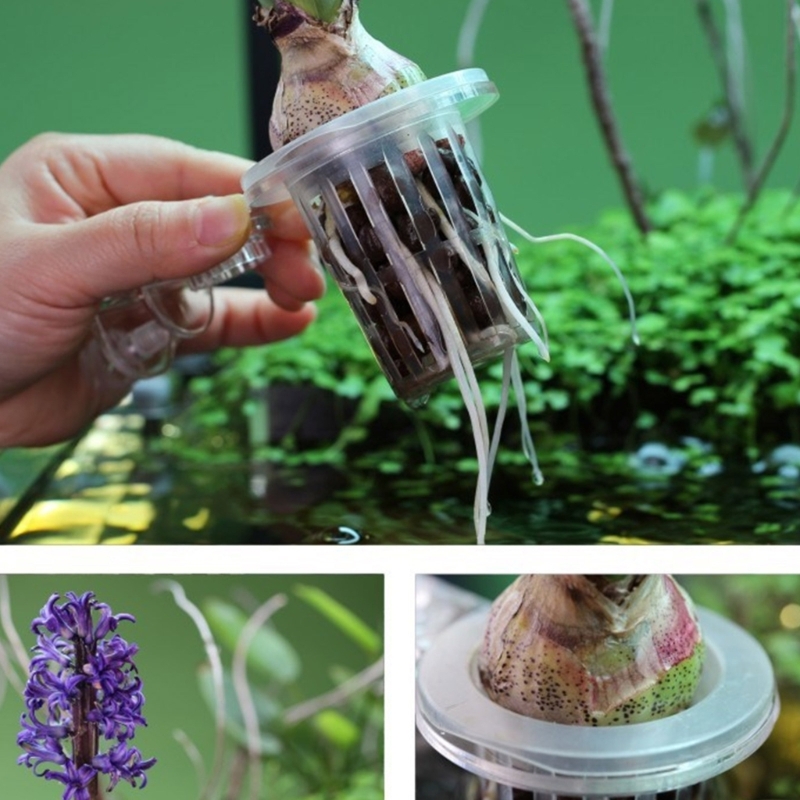 水族館用植物スタンド 水生植物栽培用クリップ付き 水生植物用 - Emersed Plants Aquarium のレビューと価格