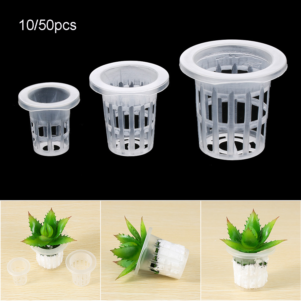 10/50 個耐久性のある植栽水族館無土壌水耕種子トレイ植栽 - Aquarium Planted Seeds のレビューと価格