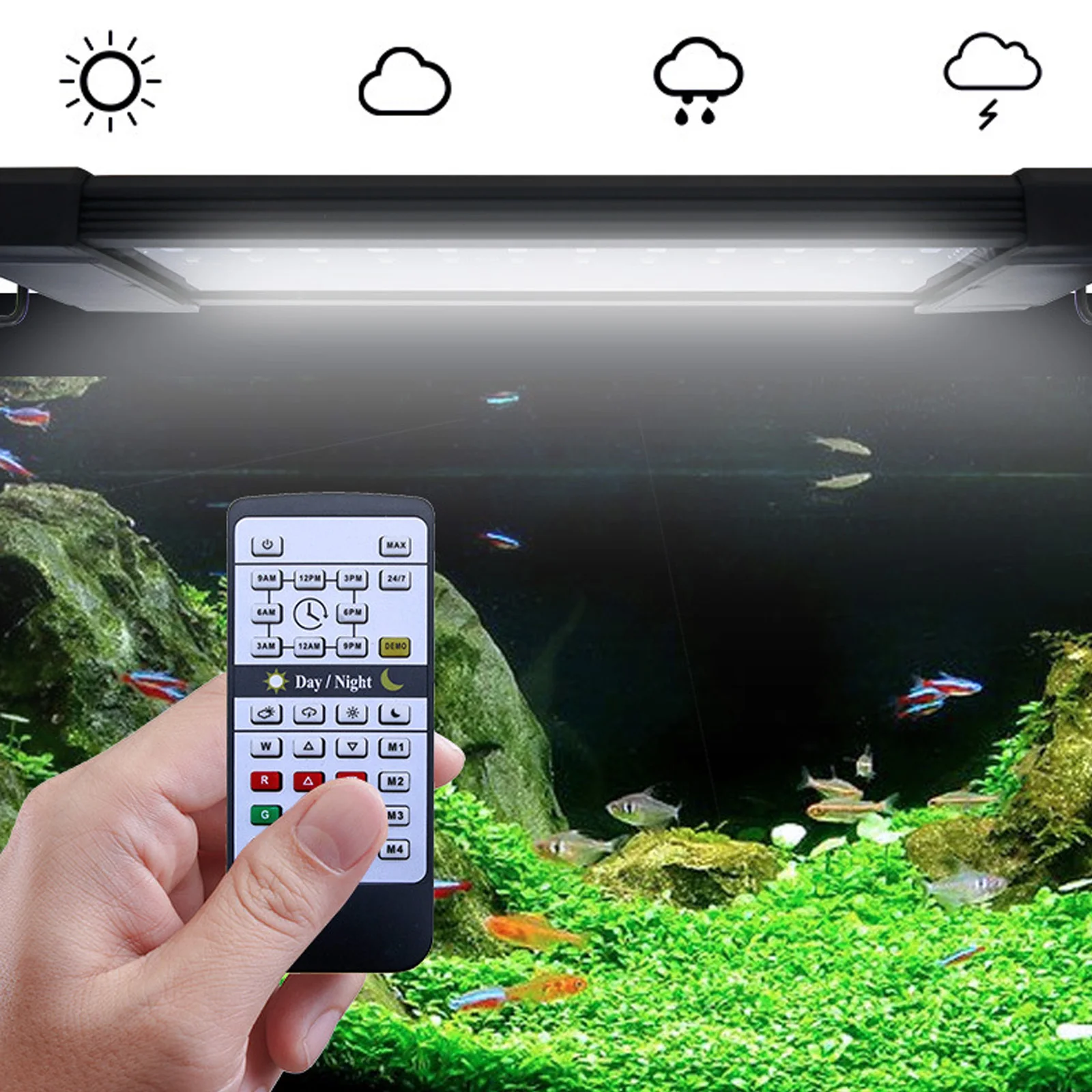 リウェイダ24時間自然光リモコンRGBホワイトフルスペクトル - Planted Aquarium Hours のレビューと価格