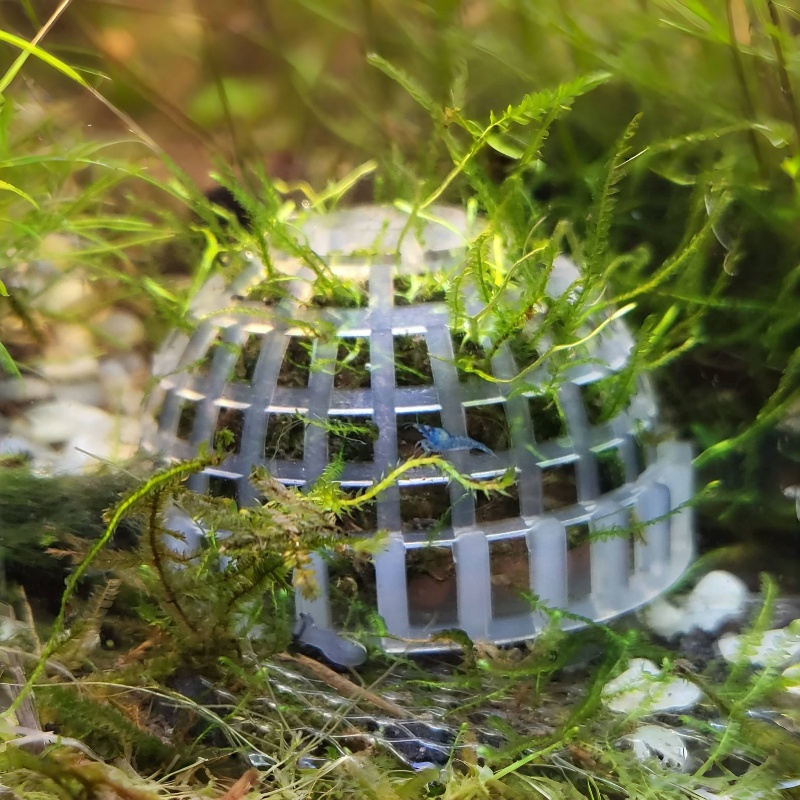 水族館モスボールホルダー2個、水槽DIYモスボール形状元モデ - Planted Aquarium Models のレビューと価格