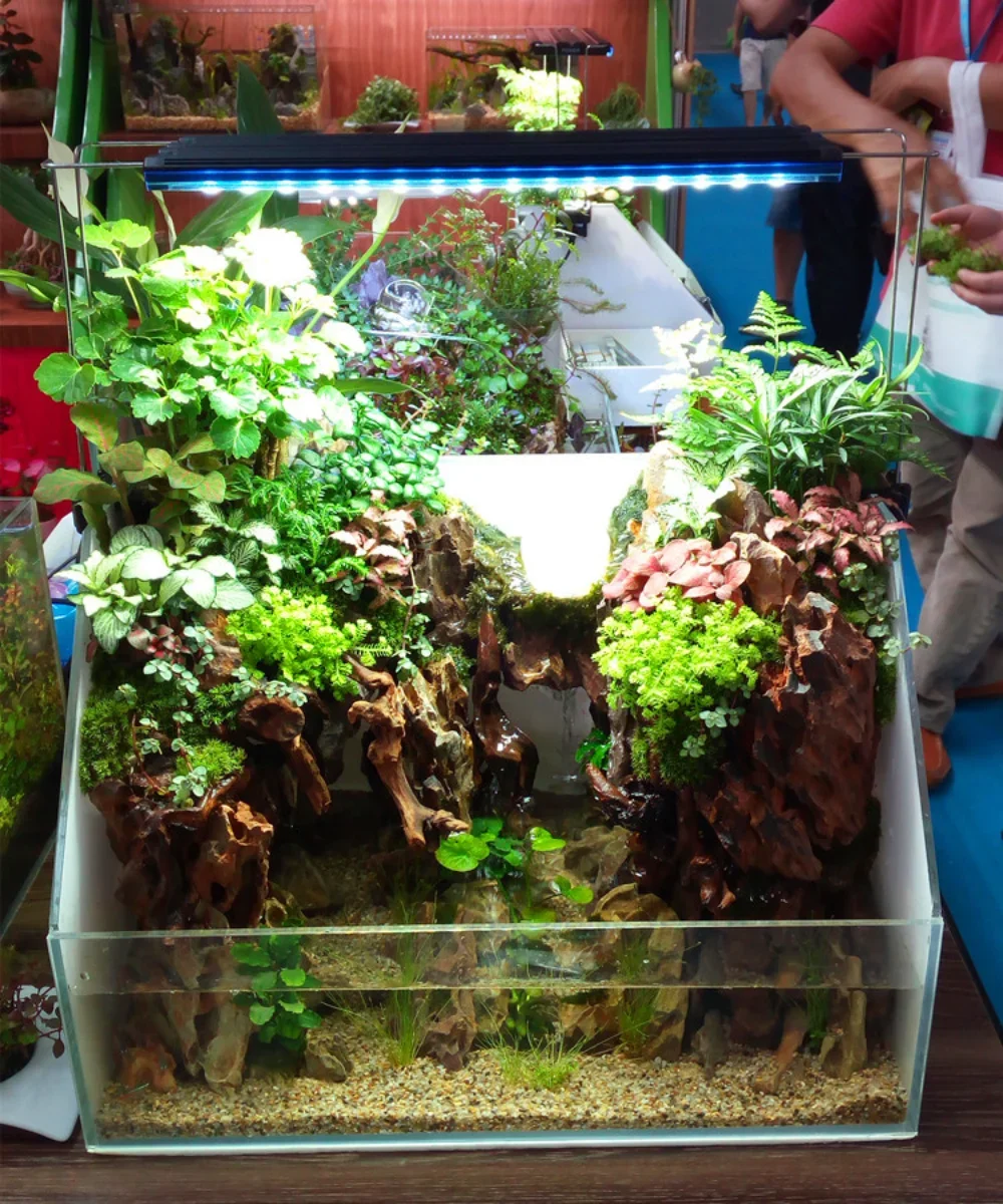 水草ランプ、LED水槽照明、水族館植物、アルミニウム合金、ハ - Aquarium Plant Light Spectrum のレビューと価格