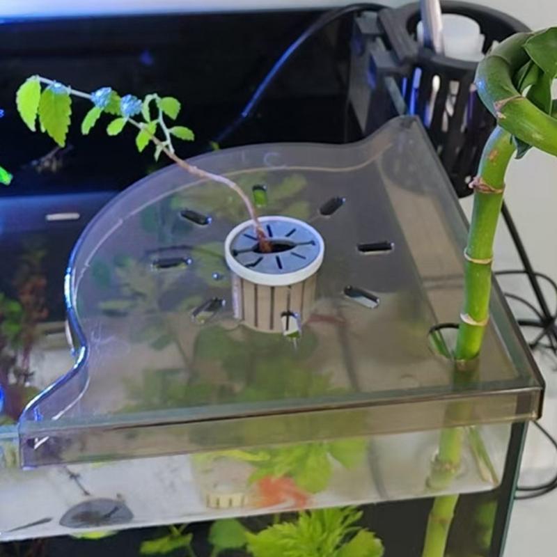 水槽コーナー棚サンゴフラグラックアクリル水槽水族館組織収納ス - Aquarium Planted Seeds のレビューと価格