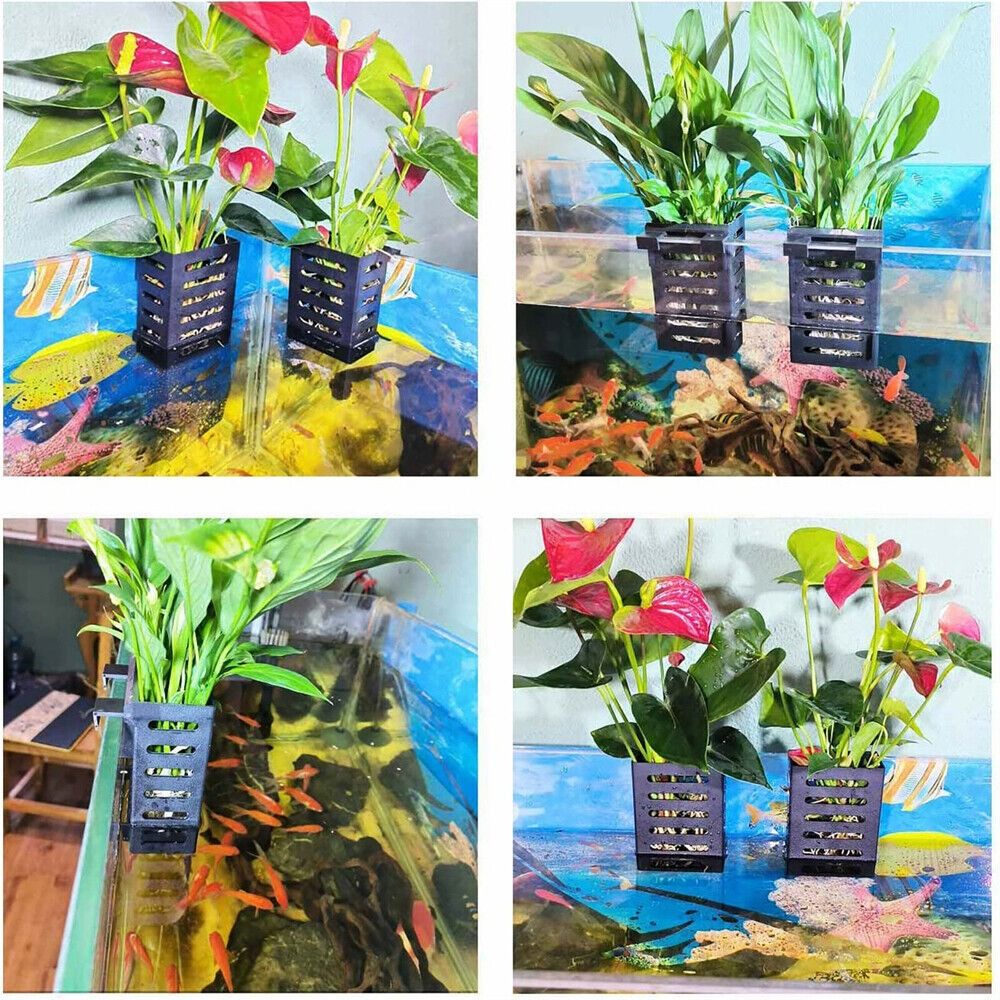 水草プランター 水槽用植物ホルダー 水耕栽培ガラスポット 水 - Emersed Plants Aquarium のレビューと価格