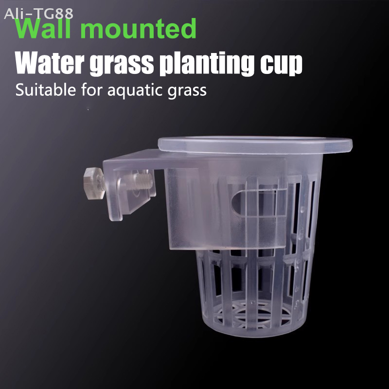 穴付き吊り下げ式水槽植物ホルダー、水生植物用ポット、水槽プラ - Emersed Plants Aquarium のレビューと価格